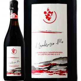 イル・ランブルスコ Lambrusco ・グラスパロッサ・ディ・カステルヴェトロ・セッコ MO イタリア Italy 微発泡 750ml ミディアムボディ 辛口 