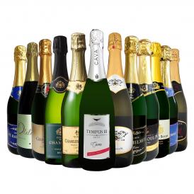 スパークリング sparkling ワイン wine セット set 第89弾 選び抜いたハイクオリティ泡ばかり12本 辛口スパークリング sparkling ワイン wine セット set ワイ 