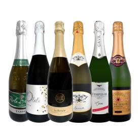 スパークリング sparkling ワイン wine セット set 第197弾 ベスト・オブ・スパーク 当店厳選 高級クレマン clement も入った極旨泡ばかりの辛口スパークリング