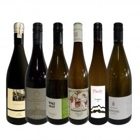  現地発掘 いまどきドイツ白赤ワイン wine 6本セット set 