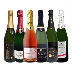 すべて本格伝統製法カバ すべて辛口スパークリング sparkling ワイン wine 6本セット set 
