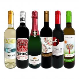  スペイン Spain 担当厳選 スペイン Spain 固有品種を知るならこの6本 スペイン Spain おうちバル6本セット set 