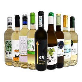  おうちタパスにピッタリ スペイン Spain 各地の白飲み比べ おうちバル白ワイン wine 9本セット set 