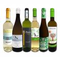 目からウロコ スペイン Spain 白ワイン wine の いま は超激旨 スペイン Spain おうちバル白ワイン wine 6本セット set 