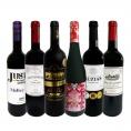  第25弾 当店 極 厳選 赤ワイン wine 好きならこのセット set 格別の美味しさ コク旨上質赤ワイン wine を存分に味わう贅沢赤ワイン wine 6本セット set 