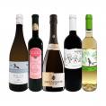  華麗なる新時代スペイン Spain ワイン wine 5本セット set 