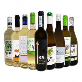  おうちタパスにピッタリ スペイン Spain 各地の白飲み比べ おうちバル白ワイン wine 9本セット set 