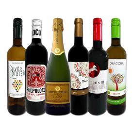  スペイン Spain 担当厳選 スペイン Spain 固有品種を知るならこの6本 スペイン Spain おうちバル6本セット set 