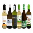  目からウロコ スペイン Spain 白ワイン wine の いま は超激旨 スペイン Spain おうちバル白ワイン wine 6本セット set 