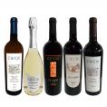  大人気イタリア Italy ン チウ・チウ 激旨5本セット set 