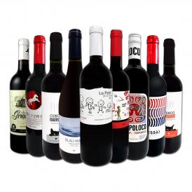  おうちタパスにピッタリ スペイン Spain 各地の赤飲み比べ おうちバル赤ワイン wine 9本セット set 