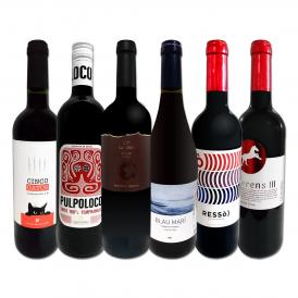  スペイン Spain 全土の地ワイン wine 満喫 スペイン Spain おうちバル赤ワイン wine 6本セット set 