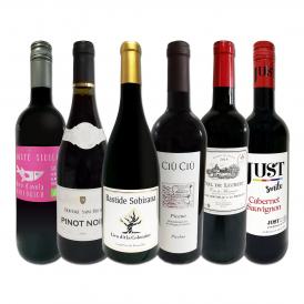 赤ワイン wine セット set 第154弾 当店厳選 これぞ極旨赤ワイン wine 大満足 充実の飲み応え 贅沢なスーパー・セレクト赤ワイン wine 6本セット set ワイン wi