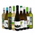  おうちタパスにピッタリ スペイン Spain 各地の白飲み比べ おうちバル白ワイン wine 9本セット set 