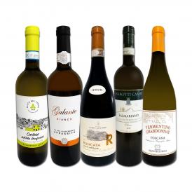  120セット set 限り 充実感たっぷりのイタリア Italy 白ワイン wine 5本セット set 