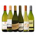  デイリー・シャルドネ chardonnay の決定版 向上目覚しいチリ・アルゼンチンのシャルドネ chardonnay ６本セット set 