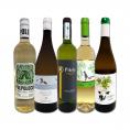  目からウロコ スペイン Spain 白ワイン wine の いま は超激旨 スペイン Spain おうちバル白ワイン wine 5本セット set 
