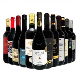  第65弾 当店オススメばかりを厳選したちょっといい赤ワイン wine 12本セット set 