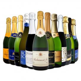  第48弾 シャンパン入り 辛口スパークリング sparkling ワイン wine 12本セット set 