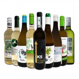  おうちタパスにピッタリ スペイン Spain 各地の白飲み比べ おうちバル白ワイン wine 9本セット set 