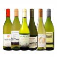  デイリー・シャルドネ chardonnay の決定版 向上目覚しいチリ・アルゼンチンのシャルドネ chardonnay ６本セット set 