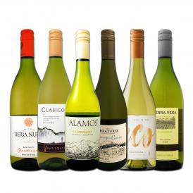 デイリー・シャルドネ chardonnay の決定版 向上目覚しいチリ・アルゼンチンのシャルドネ chardonnay ６本セット set 
