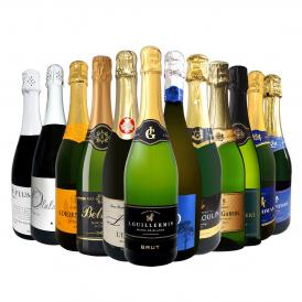 スパークリング sparkling ワイン wine セット set 第102弾 選び抜いた ハイクオリティ 泡 ばかり 12本 辛口 スパークリング sparkling ワイン wine セット s