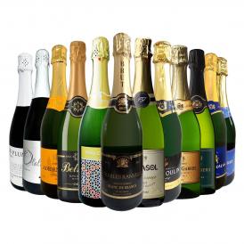 スパークリング sparkling ワイン wine セット set 第103弾 選び抜いた ハイクオリティ 泡 ばかり 12本 辛口 スパークリング sparkling ワイン wine セット s