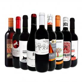  おうちタパスにピッタリ スペイン Spain 各地の赤飲み比べ おうちバル赤ワイン wine 9本セット set 