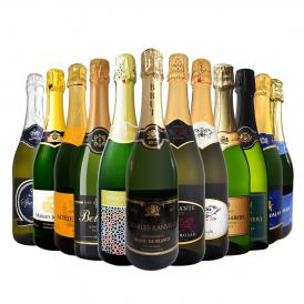 スパークリング sparkling ワイン wine セット set 第104弾 選び抜いた ハイクオリティ 泡 ばかり 12本 辛口 スパークリング sparkling ワイン wine セット s