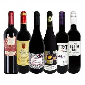  第32弾 当店 極 厳選 赤ワイン wine 好きならこのセット set 格別の美味しさ コク旨上質赤ワイン wine を存分に味わう贅沢赤ワイン wine 6本セット set 