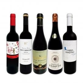  すべて高評価獲得 しかもコク旨フルボディ 間違いなしのスペイン Spain 極旨赤5本セット set 