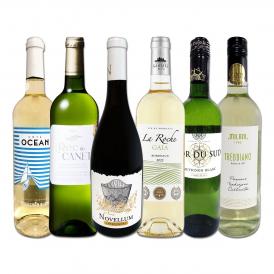 白ワイン wine セット set 第209弾 当店 厳選 これぞ極旨 辛口 白ワイン wine 白ワイン wine を存分に楽しむ 味わい深いスーパー・セレクト白 6本セット set ワ