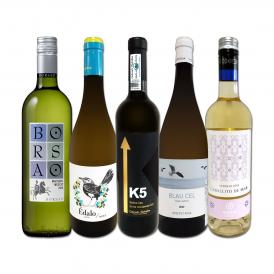  目からウロコ スペイン Spain 白ワイン wine の いま は超激旨 スペイン Spain おうちバル白ワイン wine 5本セット set 