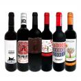  スペイン Spain 全土の地ワイン wine 満喫 スペイン Spain おうちバル赤ワイン wine 6本セット set 