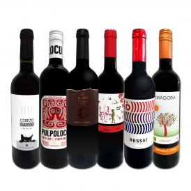  スペイン Spain 全土の地ワイン wine 満喫 スペイン Spain おうちバル赤ワイン wine 6本セット set 