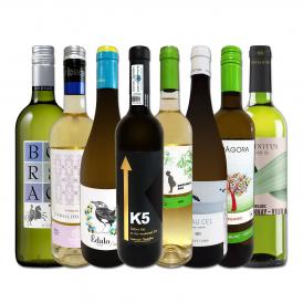  おうちタパスにピッタリ スペイン Spain 各地の白飲み比べ おうちバル白ワイン wine 8本セット set 