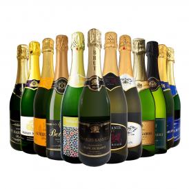 スパークリング sparkling ワイン wine セット set 第105弾 選び抜いた ハイクオリティ 泡 ばかり 12本 辛口 スパークリング sparkling ワイン wine セット s