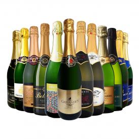 スパークリング sparkling ワイン wine セット set 第106弾 選び抜いた ハイクオリティ 泡 ばかり 12本 辛口 スパークリング sparkling ワイン wine セット s