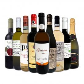  端数在庫一掃 イタリア Italy ワイン wine 9本セット set 
