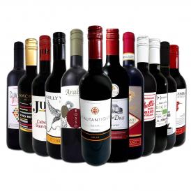  第67弾 1本あたり825円 税込 採算度外視の大感謝 厳選赤ワイン wine 12本セット set 
