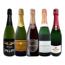  すべて本格伝統製法カバ すべて辛口スパークリング sparkling ワイン wine 5本セット set 