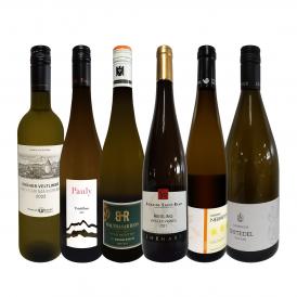  現地発掘 フランス France アルザス ・ドイツ・オーストリア・白ワイン wine 6本セット set 