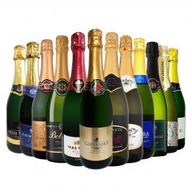スパークリング sparkling ワイン wine セット set 第108弾 選び抜いた ハイクオリティ 泡 ばかり 12本 辛口 スパークリング sparkling ワイン wine セット s