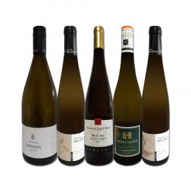  オーガニック認証付き 現地発掘 フランス France アルザス ・ドイツ品種飲み比べ辛口白ワイン wine 5本セット set 