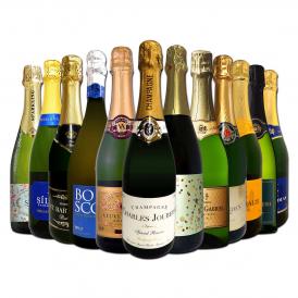  第51弾 シャンパン入り 辛口スパークリング sparkling ワイン wine 12本セット set 