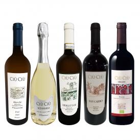  大人気イタリア Italy ン チウ・チウ 激旨5本セット set 