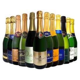 スパークリング sparkling ワイン wine セット set 第109弾 選び抜いた ハイクオリティ 泡 ばかり 12本 辛口 スパークリング sparkling ワイン wine セット s