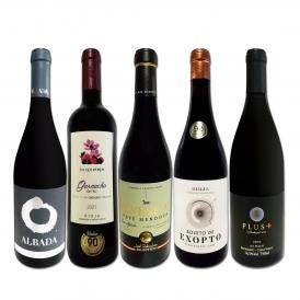  すべて高評価獲得 しかもコク旨フルボディ 間違いなしのスペイン Spain 極旨赤5本セット set 