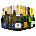 スパークリング sparkling ワイン wine セット set 第110弾 選び抜いた ハイクオリティ 泡 ばかり 12本 辛口 スパークリング sparkling ワイン wine セット s